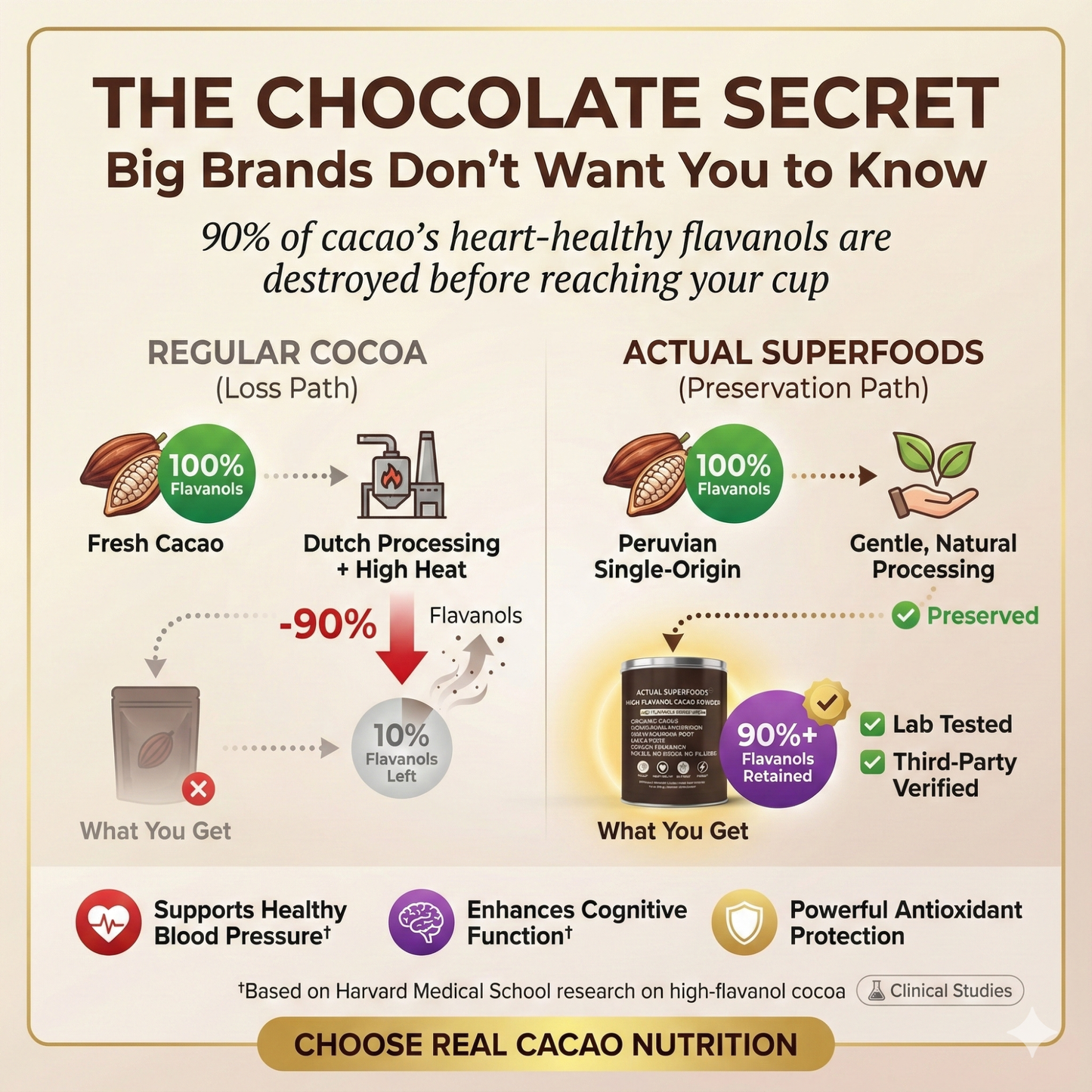 High-Flavanol Cacao for Focus, Calm Energy & Flow