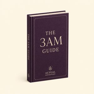 The 3AM Guide